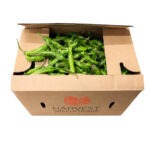 Chile Shishito Fresco 10LB / Shishito Pepper Fresh 10LB