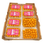 Tomate Grape Amarillo 12x1 / Tomato Grape Yellow 12x1