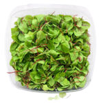 Micro Hearts On Fire 8OZ