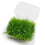 Micro Pea Shoots 8oz