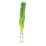 Cebollino Atado / Green Onion Bunch