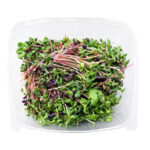 Micro Radish Mix 8OZ