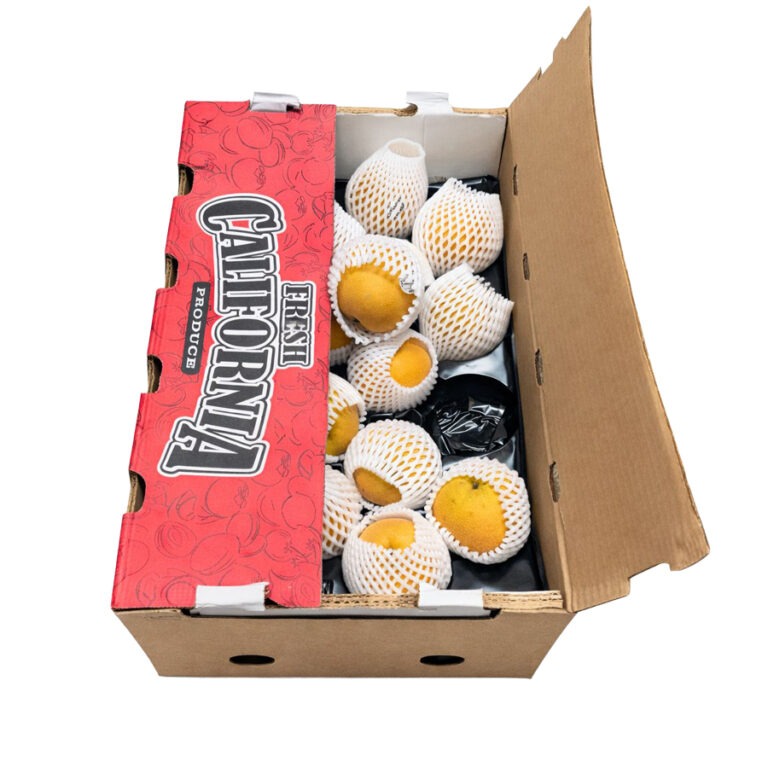 Pera Asiatica / Asian Pear