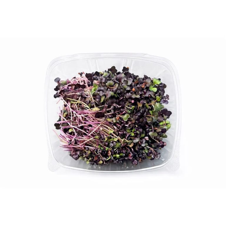 Micro Radish Purple 8oz