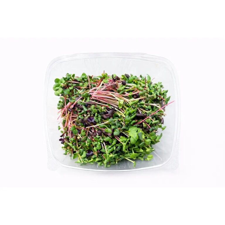 Micro Radish Mix 8OZ