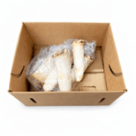 Hongo Trompeta 3LB / King Oyster (Trumpet) Mushroom 3LB