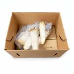 Hongo Trompeta 3LB / King Oyster (Trumpet) Mushroom 3LB