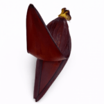Flor de Banana (Unidad) / Banana Flower (Unit)