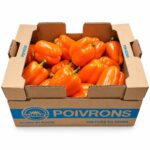 Aji Naranja 10LB / Orange Bell Pepper 10LB