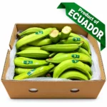 Platano Ecuador Verde 50LBS / Ecuadorian Green Plantain 50 LB