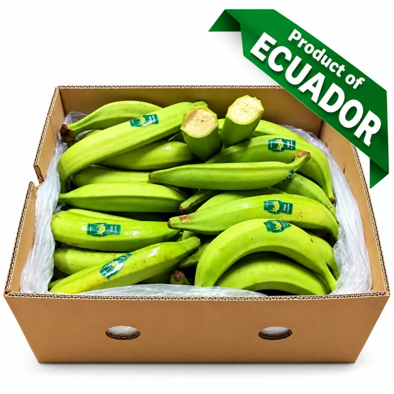 Platano Ecuador Verde 50LBS / Ecuadorian Green Plantain 50 LB